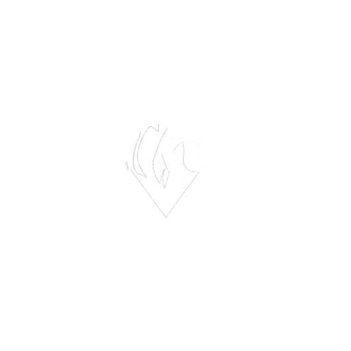 LMC Group