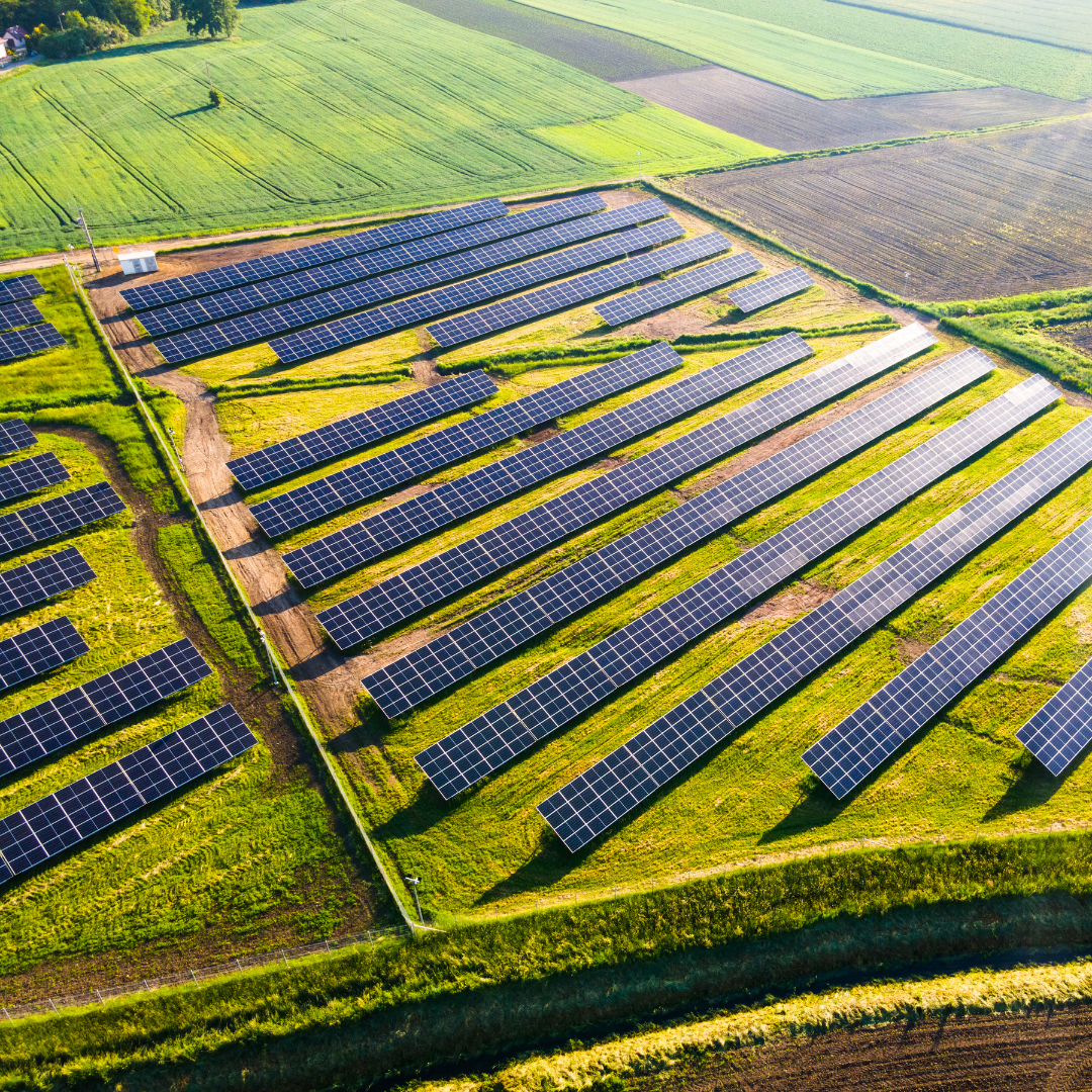 Campo com painéis de energia solar em operação